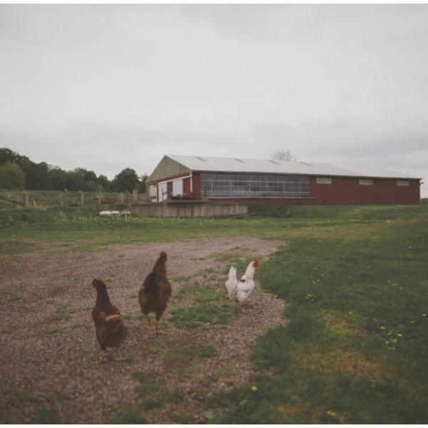 Upstate New York Barn Wedding | Upstate, NYC | Frank + Sarah