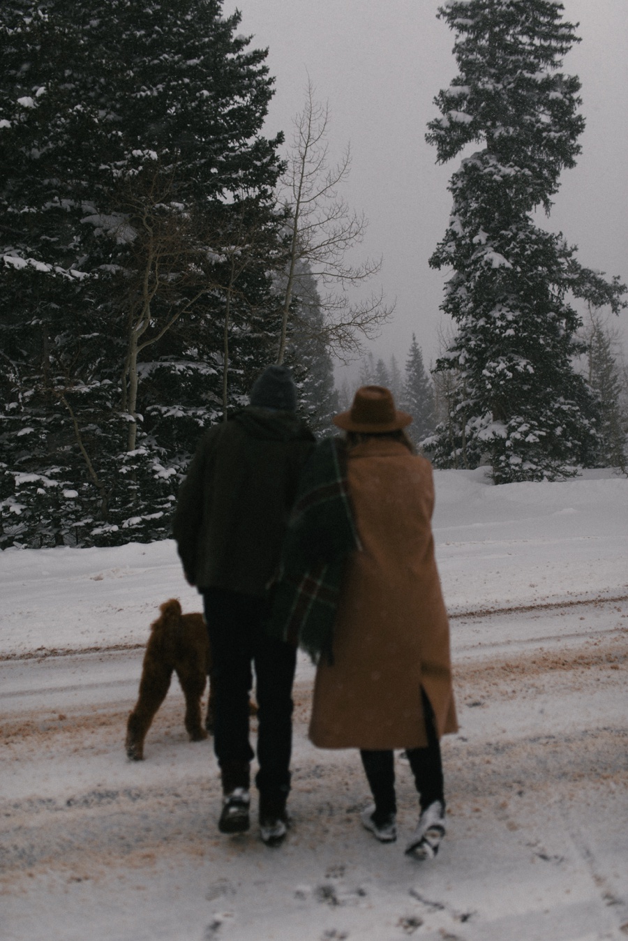 snowy mountain winter engagements_0015