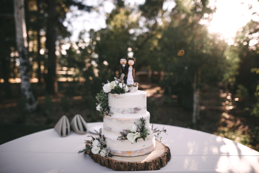 rustic mountain flagstaff wedding_0081