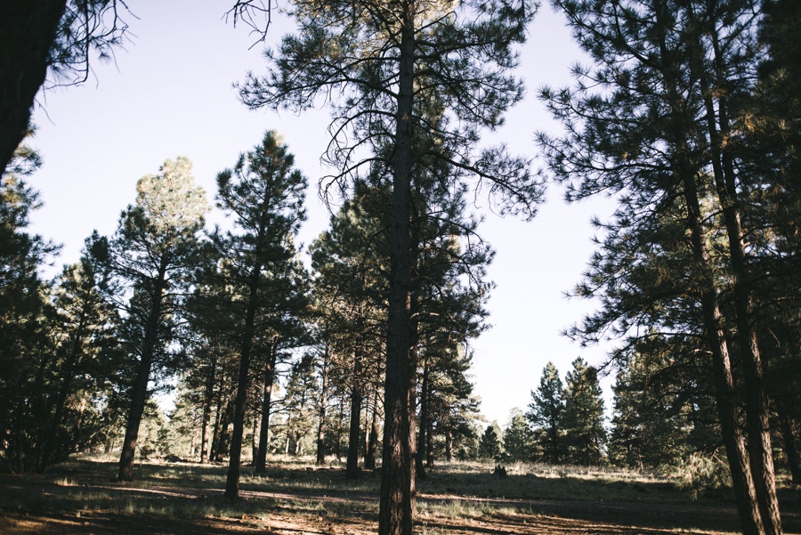 rustic mountain flagstaff wedding_83