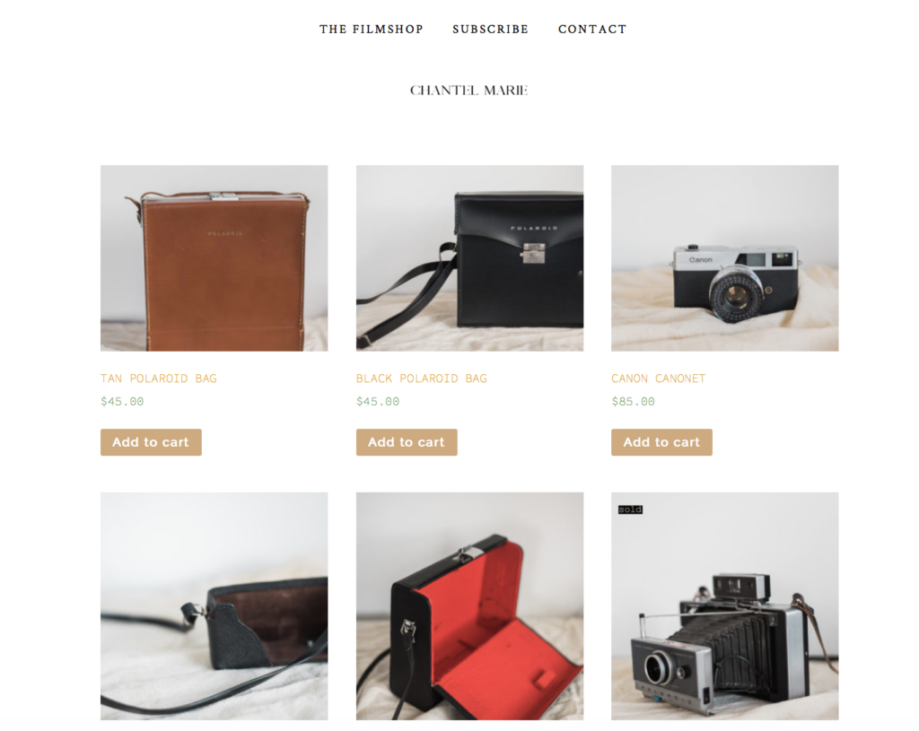 Vintage 35mm film cameras for sale by Chantel Marie